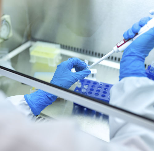 Trusted by over 1000 Users